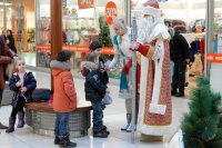 Новогодние праздники 4 января 2014г.